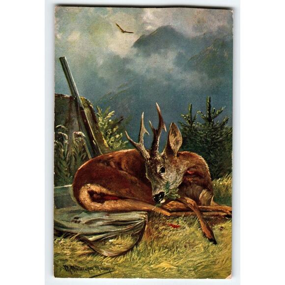 Deer Postcard Signed M Muller Germany Rustic Wildlife Mountains Gun Series 2707 - Picture 1 of 2